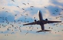 Defense Ministry: Airports in Kharkiv, Zaporizhya and Dnipropetrovsk closed for security reasons