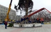 У Сєвєродонецьку встановили головну ялинку Луганщини, яка виросла на схилах Говерли (фото, відео)