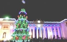 В Одессе зажгли главную елку города