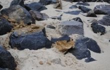 СМИ: Взрыв на берегу моря под Мариуполем 23 декабря мог быть диверсией (фото)