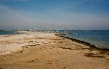 У Бердянську в результаті шторму підтоплено 30 будинків