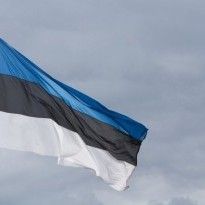 В Эстонии найден клад эпохи викингов