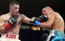 Бокс, чемпіонський бій WBO International, Альварадо - Ріос: відео онлайн-трансляція (трансляція завершена)