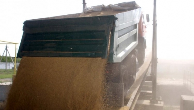 Экспорт зерна из Украины в этом маркетинговом году сократится / Фото УНИАН