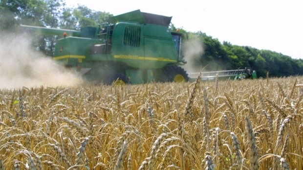 Минагропрод рассчитывает на рост экспорта зерновых / Фото УНИАН