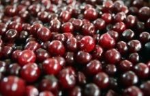Кому нельзя есть вишни