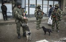 На Донбассе находятся около 50 тыс. украинских военных - Геращенко