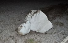 У Запорізькій області знесли два пам'ятники Леніну (фото)