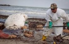 Штраф BP за разлив нефти в Мексиканском заливе составит $13,7 млрд
