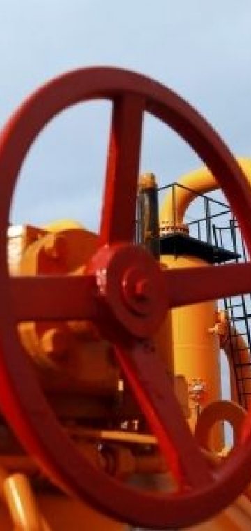 Frankfurter Allgemeine: