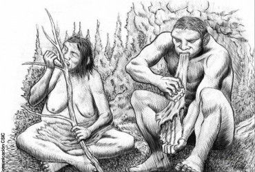 Ученые сделали открытие, меняющее представление о жизни неандертальцев и Homo sapiens