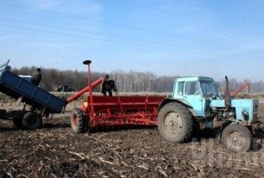 Минагрополитики: несмотря на уничтожение оккупантами зернохранилищ, голод Украине не грозит