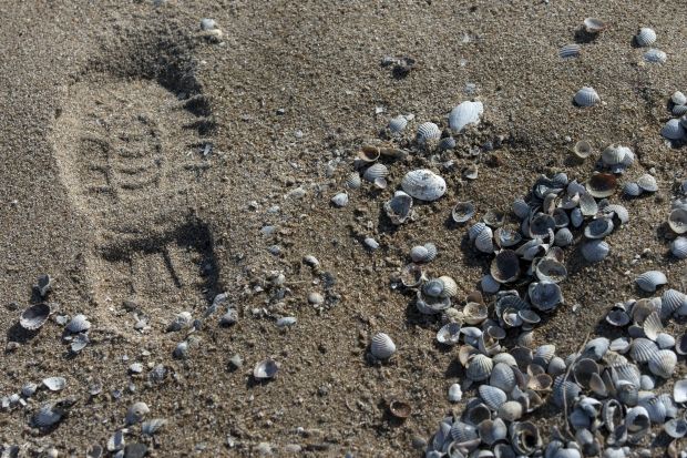 Супротивник не втримає захоплену частину півдня України, вважає екс-міністр оборони / REUTERS Супротивник не втримає захоплену частину півдня України, вважає екс-міністр оборони / REUTERS