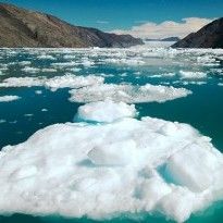 Климатологи предложили новый способ борьбы с глобальным потеплением