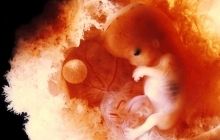 Ученые впервые изменили гены в эмбрионе человека