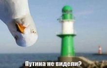 У мережі активно обговорюють таємниче зникнення Путіна (фото)