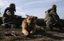 За сутки на Донбассе погиб один военный, шестеро получили ранения - АП