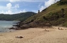На одном из курортов Таиланда сотни диких обезьян спустились с гор из-за засухи - СМИ