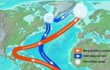 Течія Гольфстріму послабилася: Європі загрожує похолодання