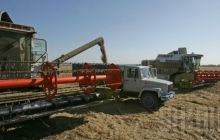 Grain harvest in Ukraine may decrease by 10% in 2015
