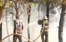 На Хмельнитчине горело более 9 гектаров хвойного леса