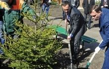 На Ленинградской площади в Киеве на месте незаконной застройки посадили почти полсотни деревьев