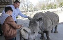 Столична влада планує розпочати роботи з модернізації київського зоопарку до кінця року
