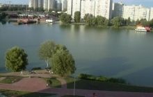 У Києві екологічні активісти та КМДА наводитимуть лад серед міської природи