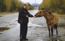 Newsweek: Дикая жизнь процветает в радиоактивном Чернобыле без людей