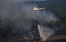Forest fire in Chornobyl zone ‘under control’
