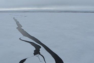 Ученые заявили об изменении цвета Арктики в связи с глобальным потеплением