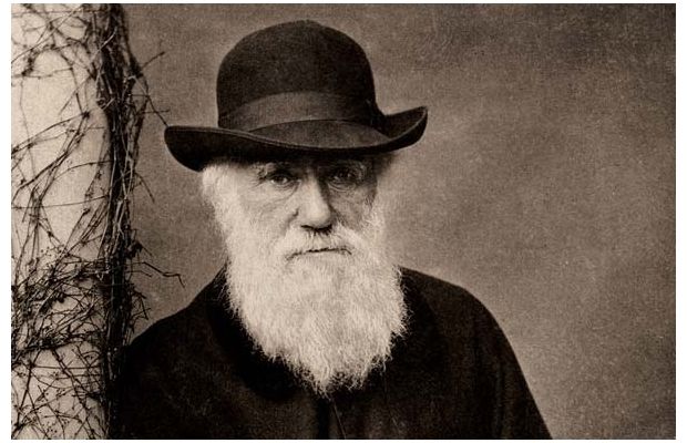 12 лютого 2020 - яке сьогодні свято, прикмети і іменинники, що сьогодні не можна робити