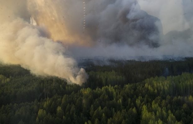 320 hectares of forest caught on fire in the Chernobyl exclusion zone / kmu.gov.ua