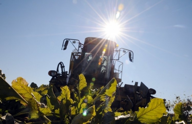 Сельское хозяйство стало лидером реформ в Украине / УНИАН