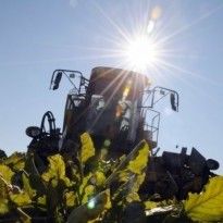В Германии фермеры судятся с правительством из-за глобального потепления