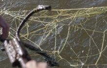 Держрибагентство пропонує давати три роки тюрми за електролов риби