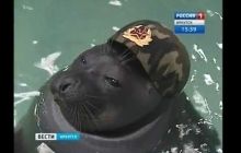 В Іркутську нерпи представили "військово-патріотичну" програму: з рушницями та маршем