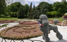 У Києві відкривається виставка квітів із європейськими композиціями (фоторепортаж)