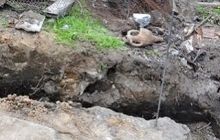 В Николаеве обнаружено захоронение, датируемое III-IV ст.