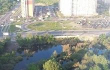 У Києві через будівництво на озері можуть загинути десятки виводків птахів