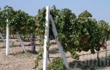 Sale of 180 agricultural enterprises in Ukraine expected to generate UAH 1 bln 