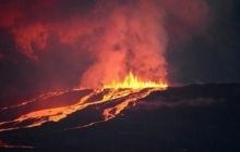 На Галапагоських островах вивергається вулкан, поряд з яким мешкають рідкісні рожеві ігуани