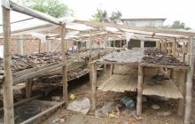 В Эквадоре поймали контрабандистов с 200 тысячами акульих плавников (фото)