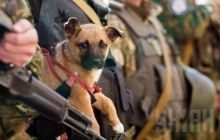 ATO: Ukrainian army prevents terror attack at meeting in Stanytsia Luhanska