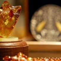 Китайские ученые нашли в янтаре часть крыла доисторической птицы