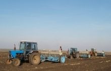 В Україні завершилася посівна кампанія
