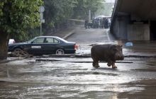 Среди погибших и пострадавших во время наводнения в Тбилиси украинцев нет - МИД
