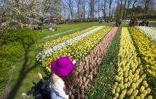 Експерти назвали кращі місця для подорожей та сімейного відпочинку в Європі