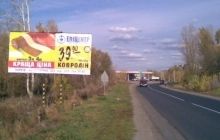 Профільний комітет Кабміну підтримав заборону зовнішньої реклами на частині доріг