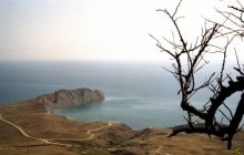 В оккупированном Коктебеле произошла экологическая катастрофа